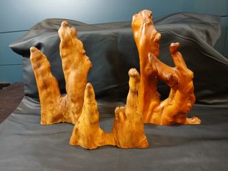 Natural Art Decorative Burl Wood Cypress Knee Sculpture Pieces 