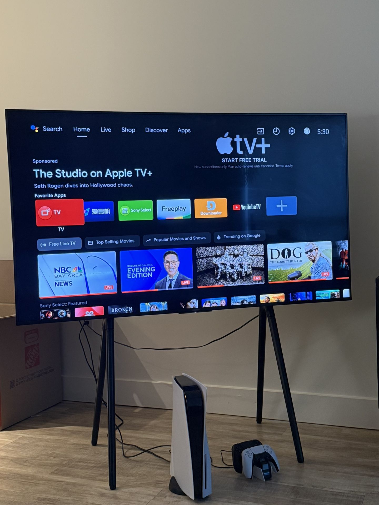 Sony 65” TV with Adjustable Stand