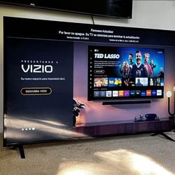 VIZIO 55” Smart TV – Works Great – Priced to Sell