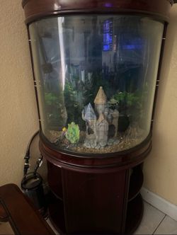 Aquarium