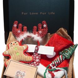 dog christmas box costume 