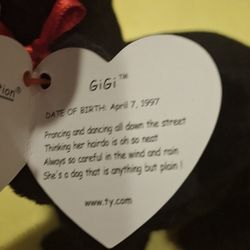 I Have A Rare Beanie Baby, GIGI