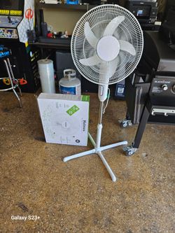 New fan