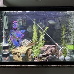 30 Gallons Fish Tank, Size Is 30 x 18,5 x 12