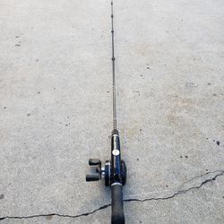 Fishing Pole With Reel - Lamiglas Pole With Daiwa Reel