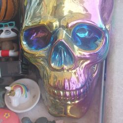 Large Colorful Skull