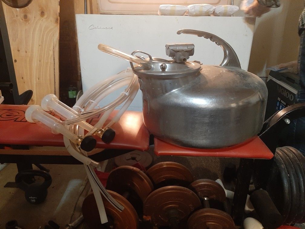 Stainless Steel Surge Milking Machine With Oil-less Vacuum Pump