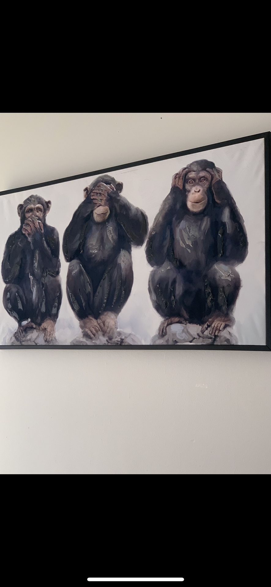 43x23 Appx Three Wise Monkeys See No Evil Hear No Evil Speaks no Evil Reflective Paint