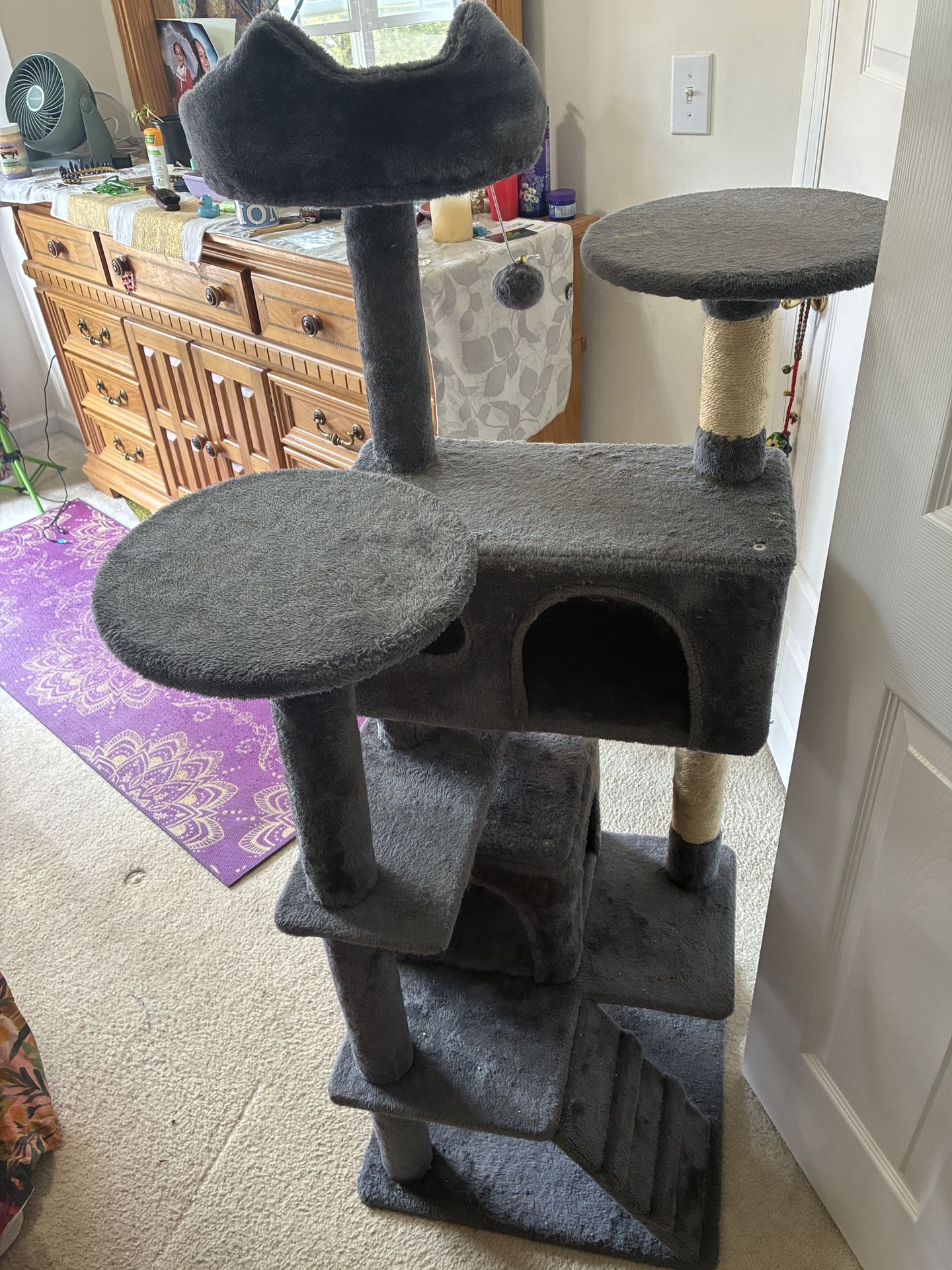 Cat Cafe