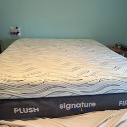 Cal King Plush & Firm Mattress
