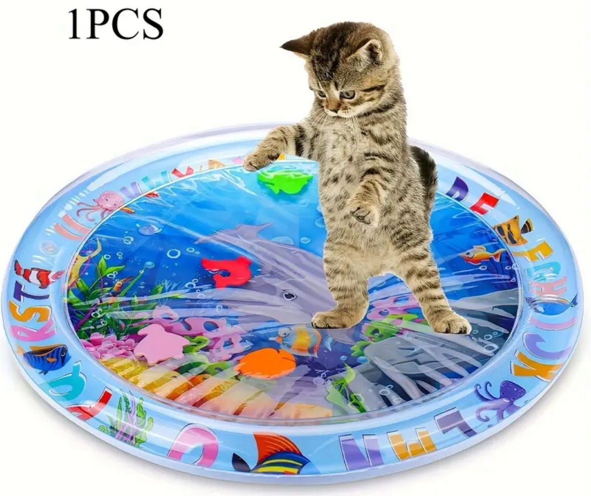 Cat Toy
