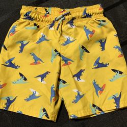 Cat & Jack Boys Size 5T Dinosaurs on surf boards Swim Trunks 