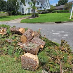 Free Fire logs -