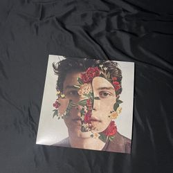 Shawn Mendes Vinyl