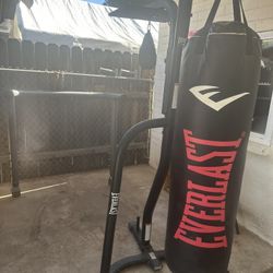 Punching Bag