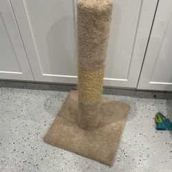 Cat Scratcher Post