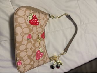 Coach Teri purse