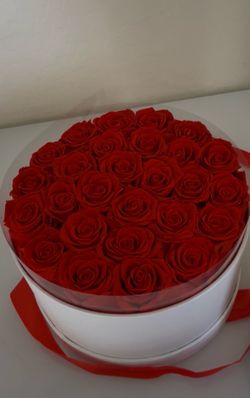 Roses