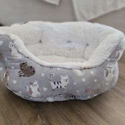 Cat Items