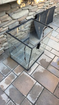 Free terrarium
