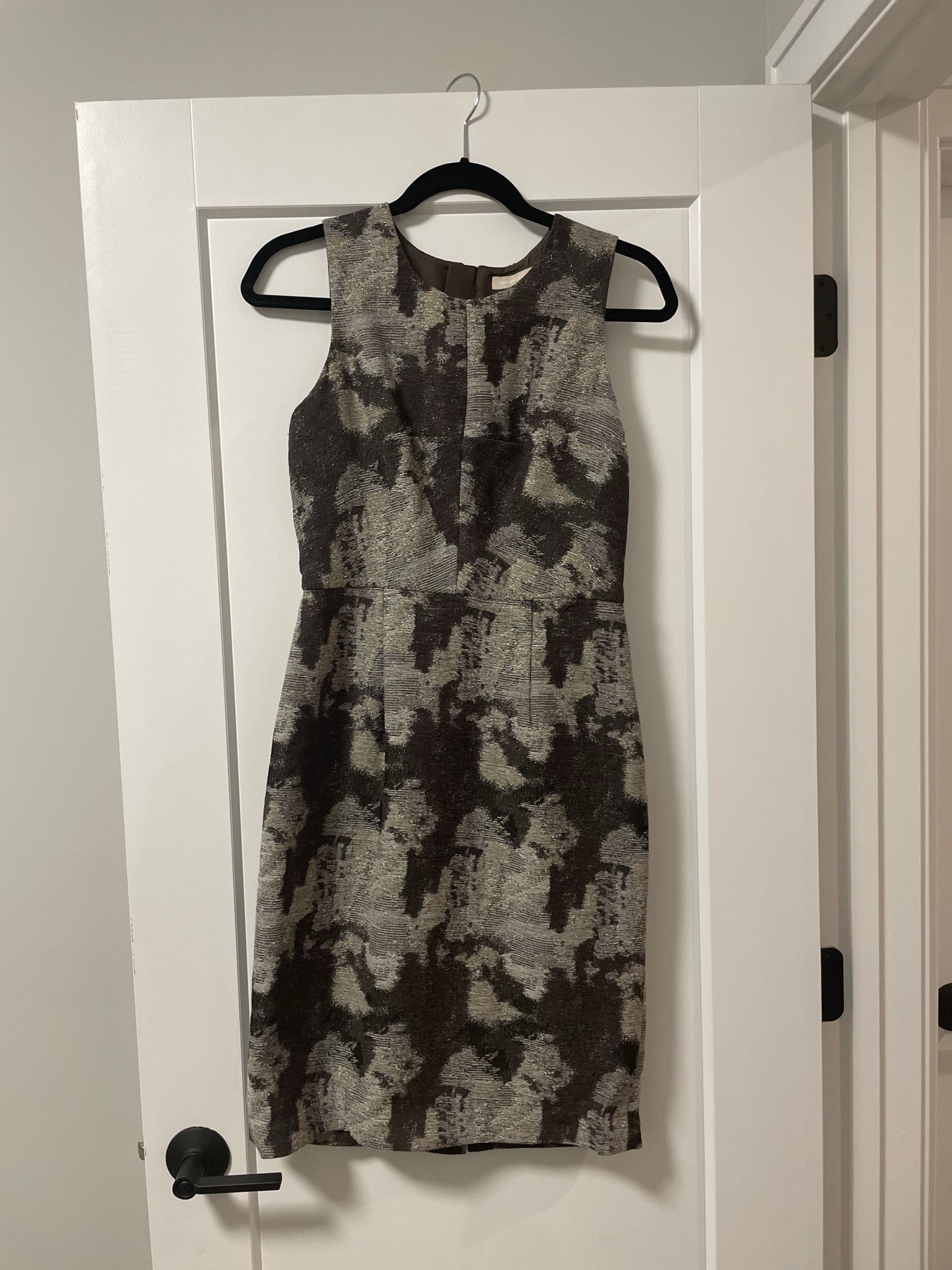 Banana Republic Dress (2)