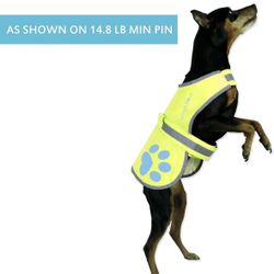 Dog Reflective Vest
