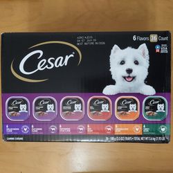 Cesar Wet Dog Food 6 Flavors, 36 ct