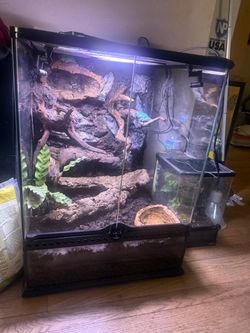 Reptile tank