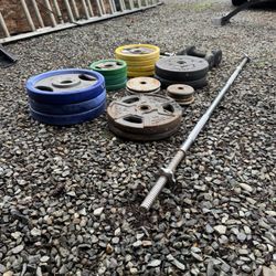 Gym Weight Plates + Barbell + Dumbbells
