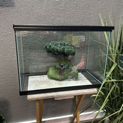 Glass Aquarium 