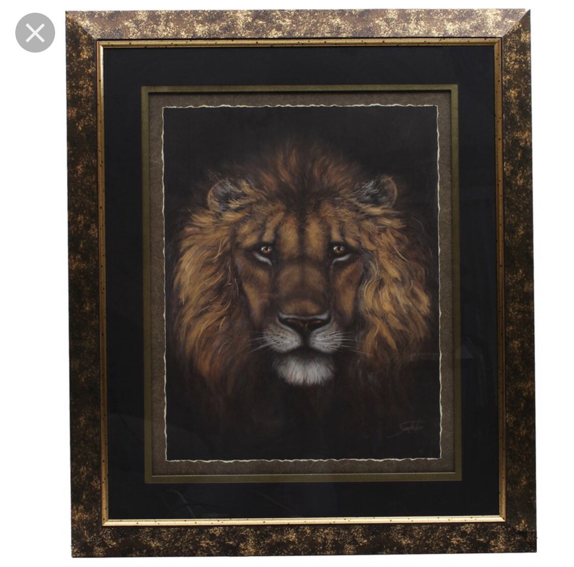 Home interior Lion Frame