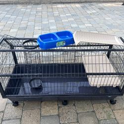 Bunny Cage 