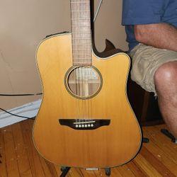 takamine eg-10c