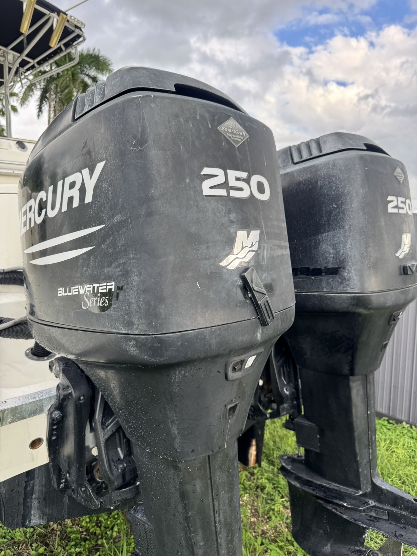 Mercury Outboard Efi