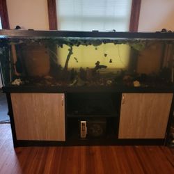 Aquarium Tank