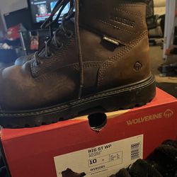Wolverines Size 10