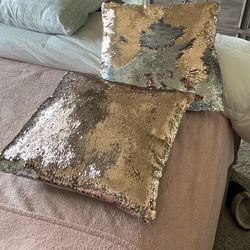 2 Rose Gold & Silver Deco Pillows $20