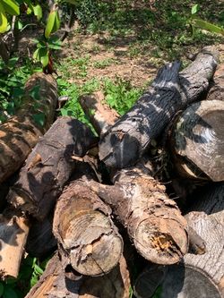 Free wood logs for repurpose are to make firewood