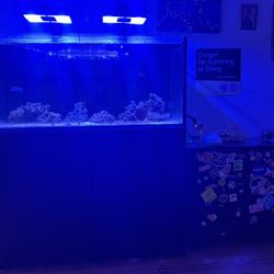 Red Sea Reefer 350 G2, Eco lab Lights, Complete Apex System