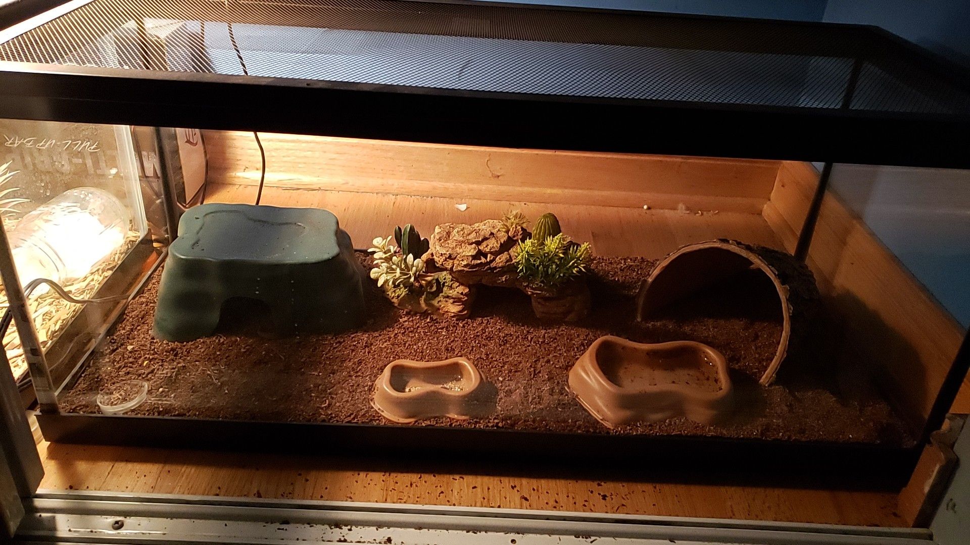 Two 20 gallon long leopard gecko tanks