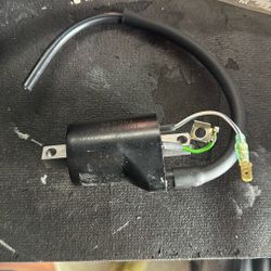 Ignition Coil. P/N 5843900600