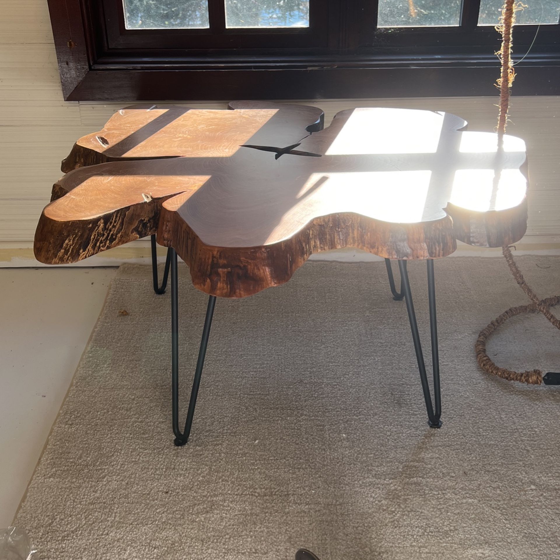 WORLD MARKET Wood Slab Table Coffee Table