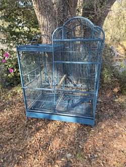 Bird,parrot ,rabbit,dog,cage