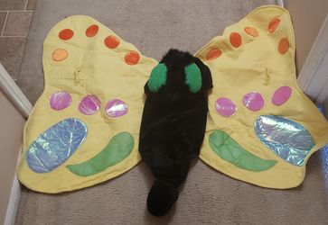 Butterfly costume size 7-8