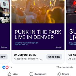 Punk In The Park Ticket For Today Saturday 