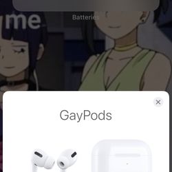 Airpod Pros