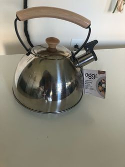 Oggi stainless steel kettle