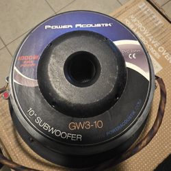 10" Subwoofer 