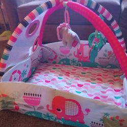 Grow And Play Play Gym For Baby Girl