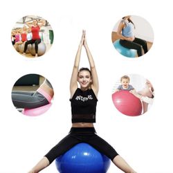 Silver Balance Ball With Pump